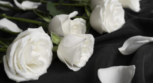 faq-coroa de flores funeraria egipcia